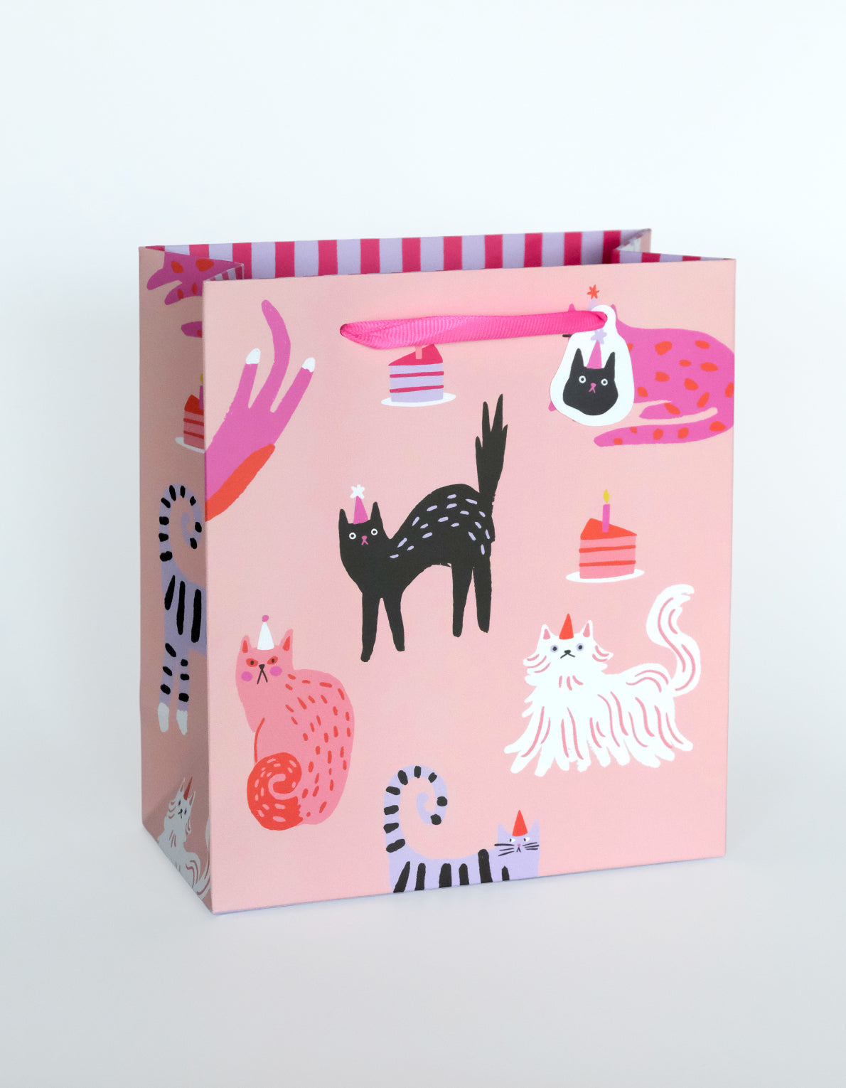 Gift Bag | Party Cats