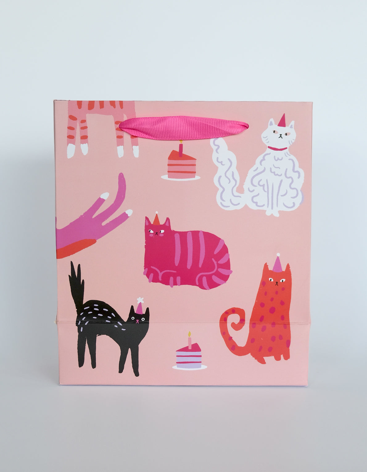 Gift Bag | Party Cats