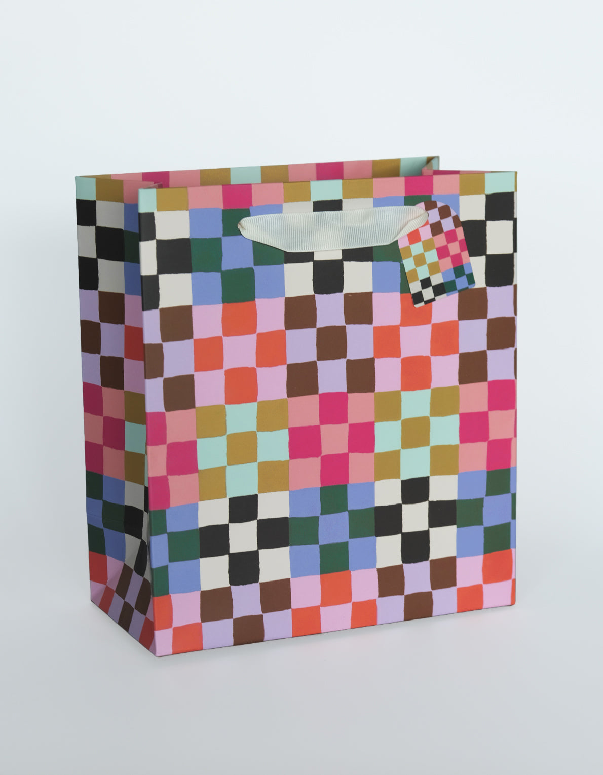 Gift Bag | Rainbow Check Print