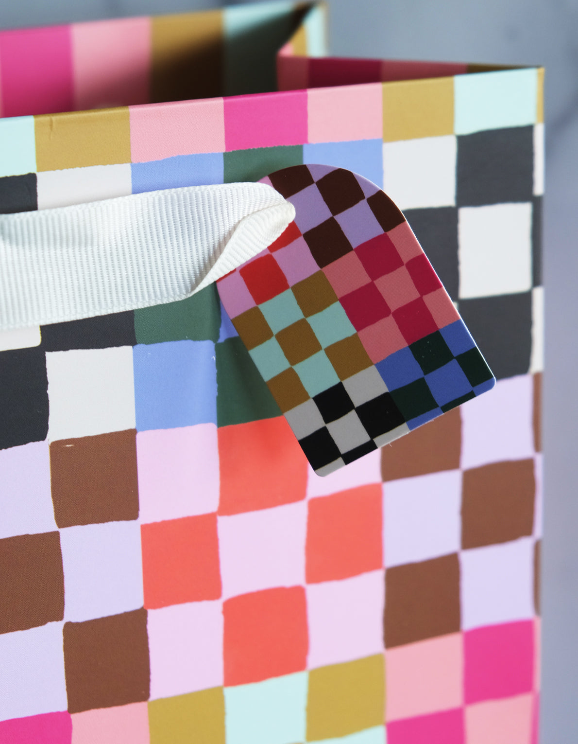 Gift Bag | Rainbow Check Print