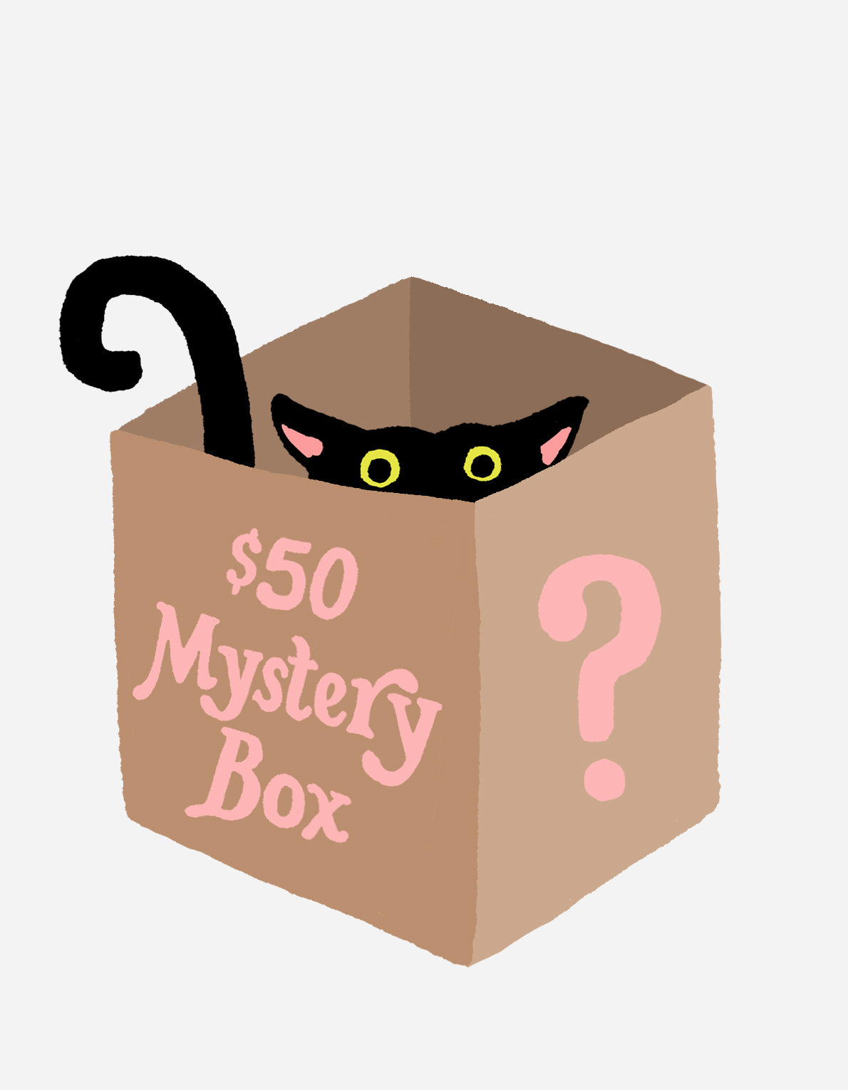 Mystery Box | Value $50