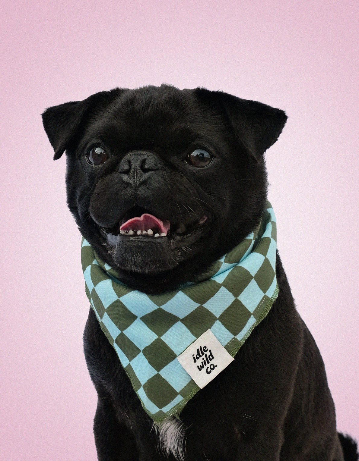 Pet Bandana | Olive Checks