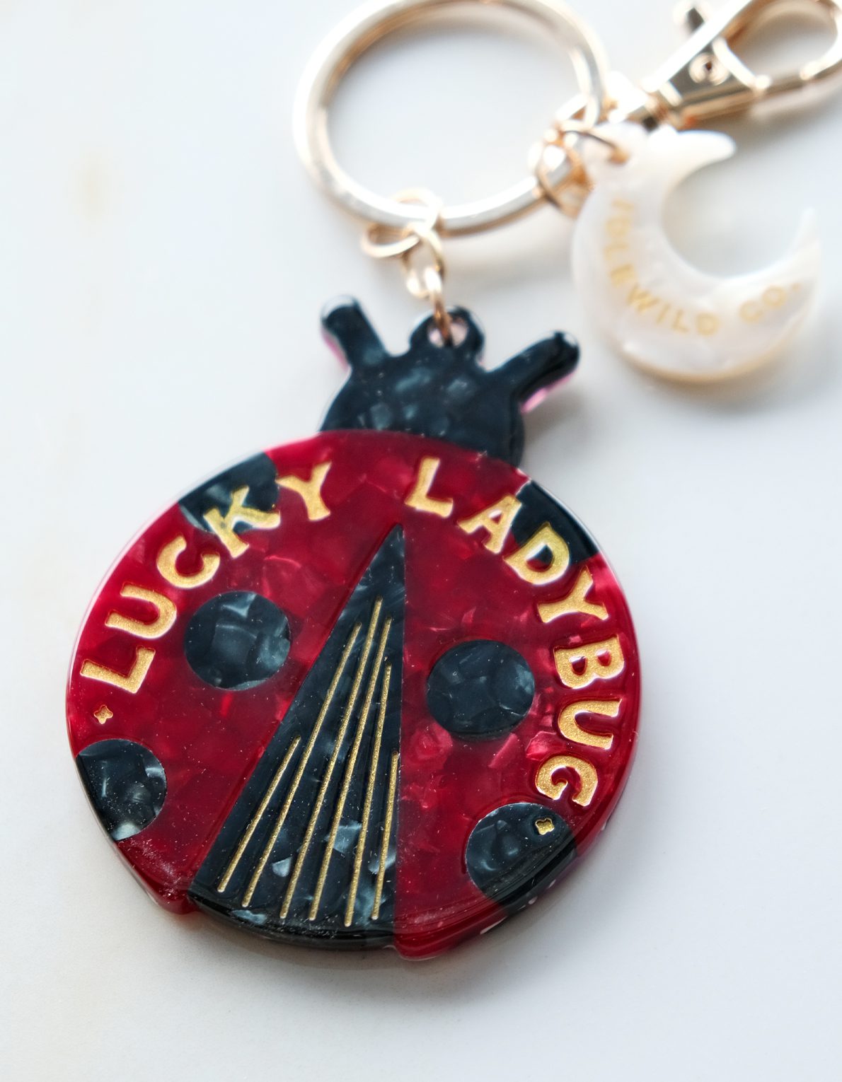 Lucky Bag Charm | Ladybug