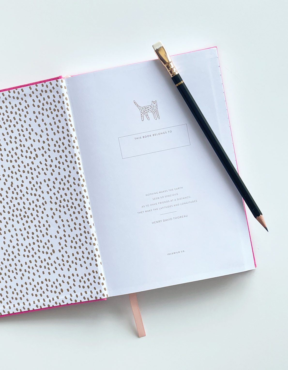 Address Book | Wild Cat
