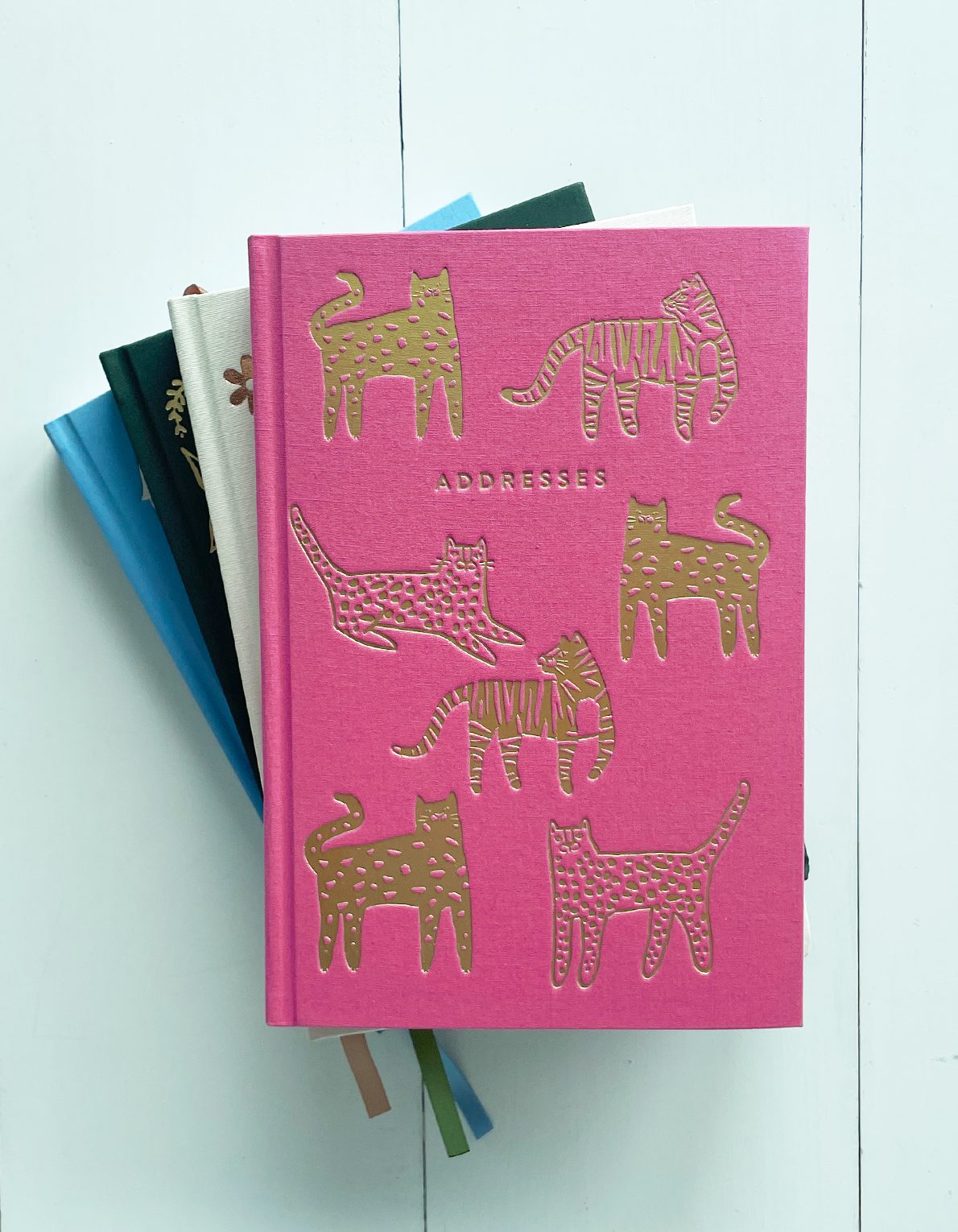Address Book | Wild Cat