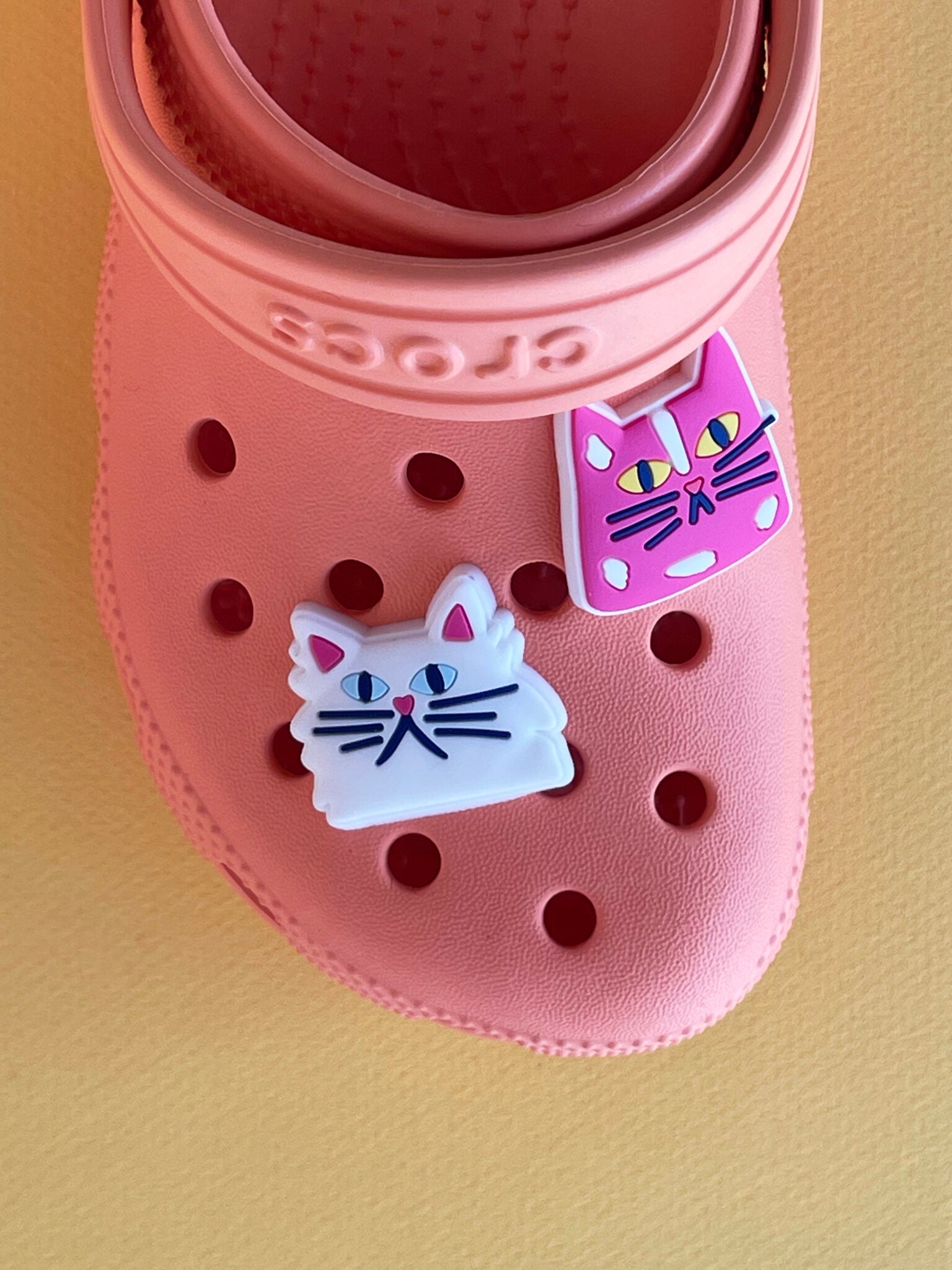 Clog Charms | Cats