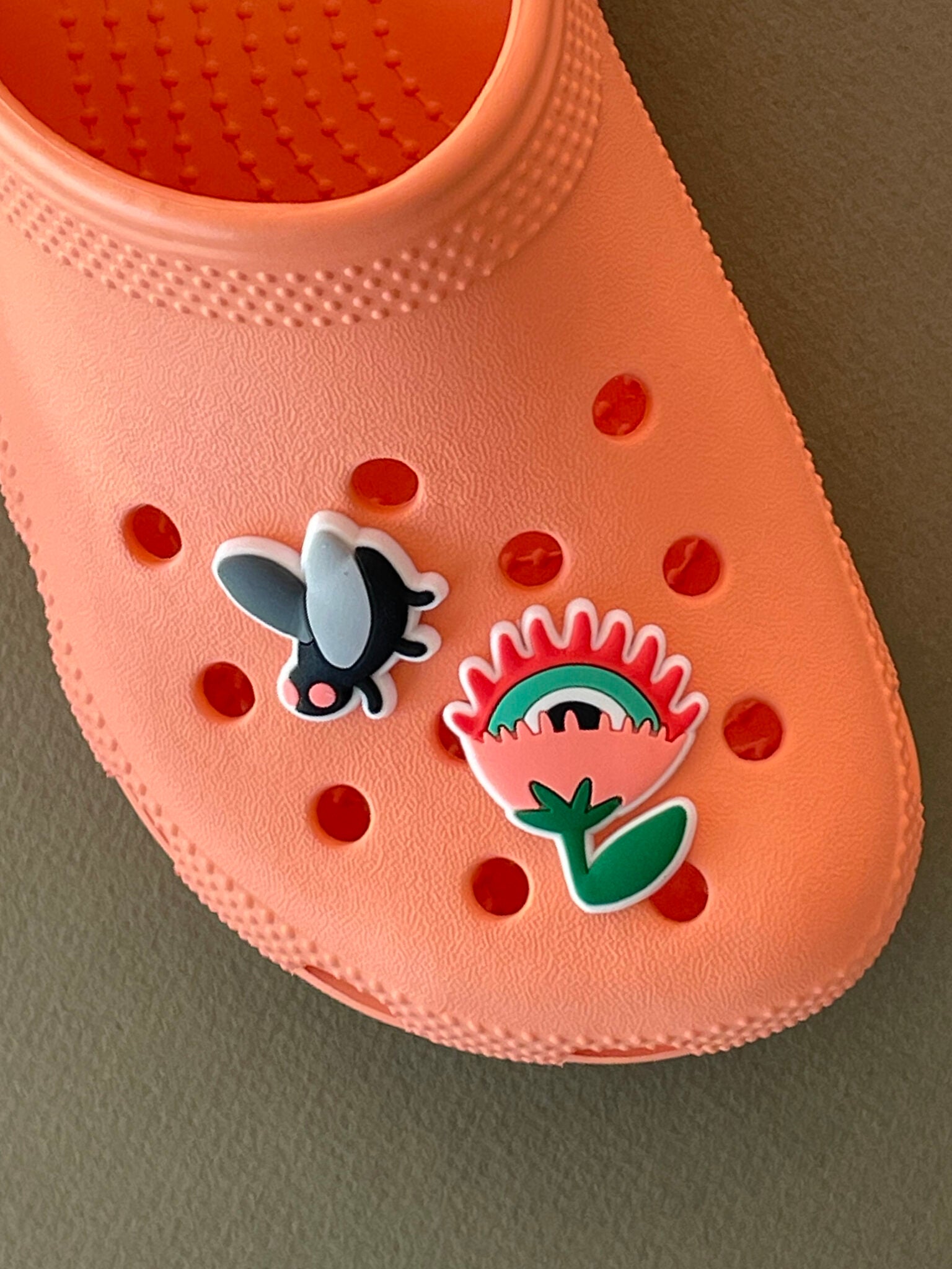 Clog Charms | Fly & Trap