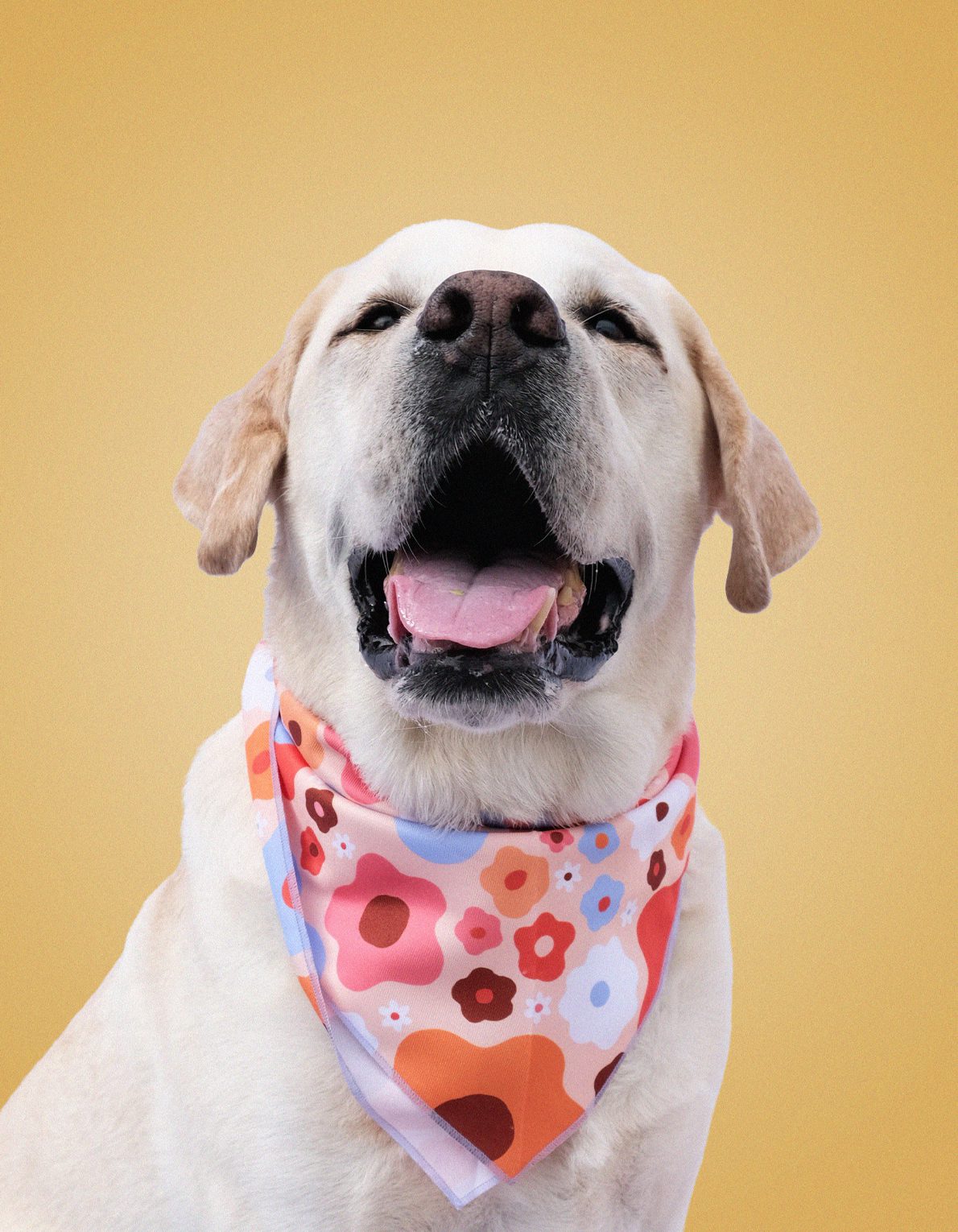 Pet Bandana | Coral Floral