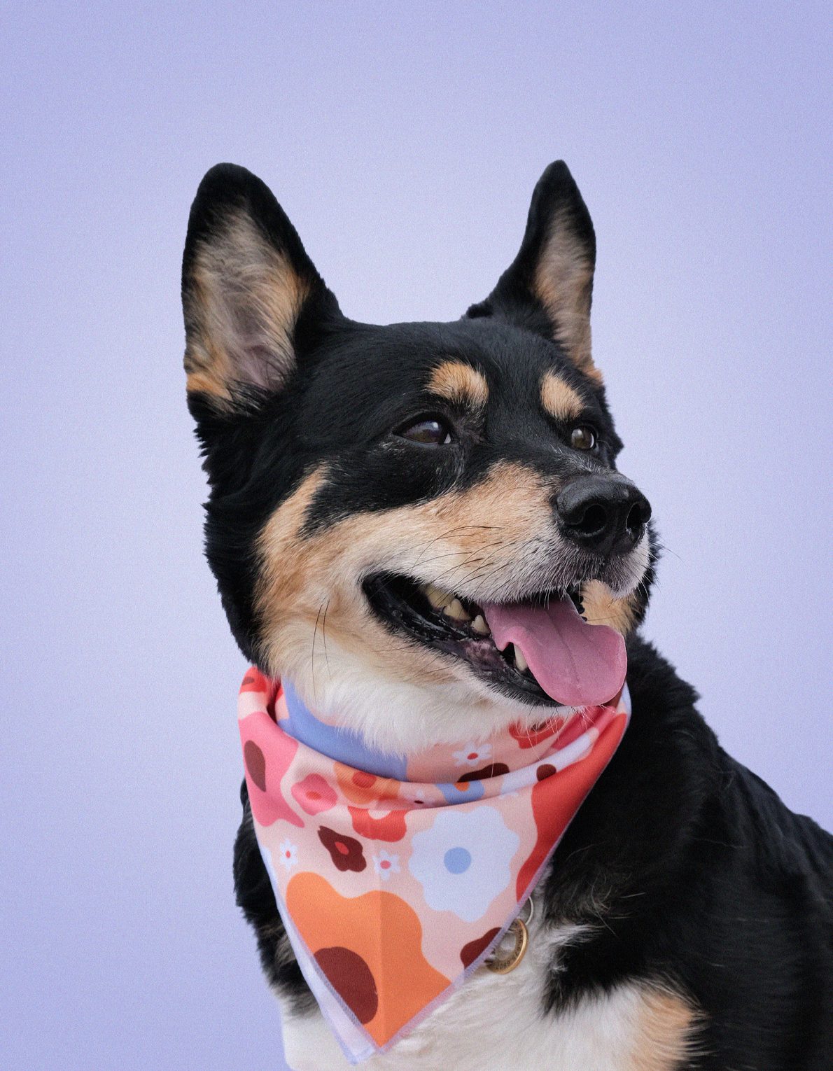 Pet Bandana | Coral Floral