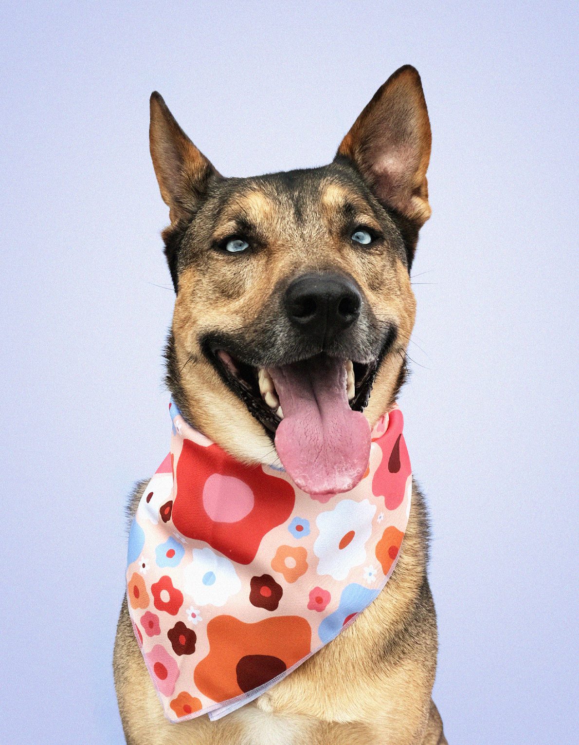 Pet Bandana | Coral Floral