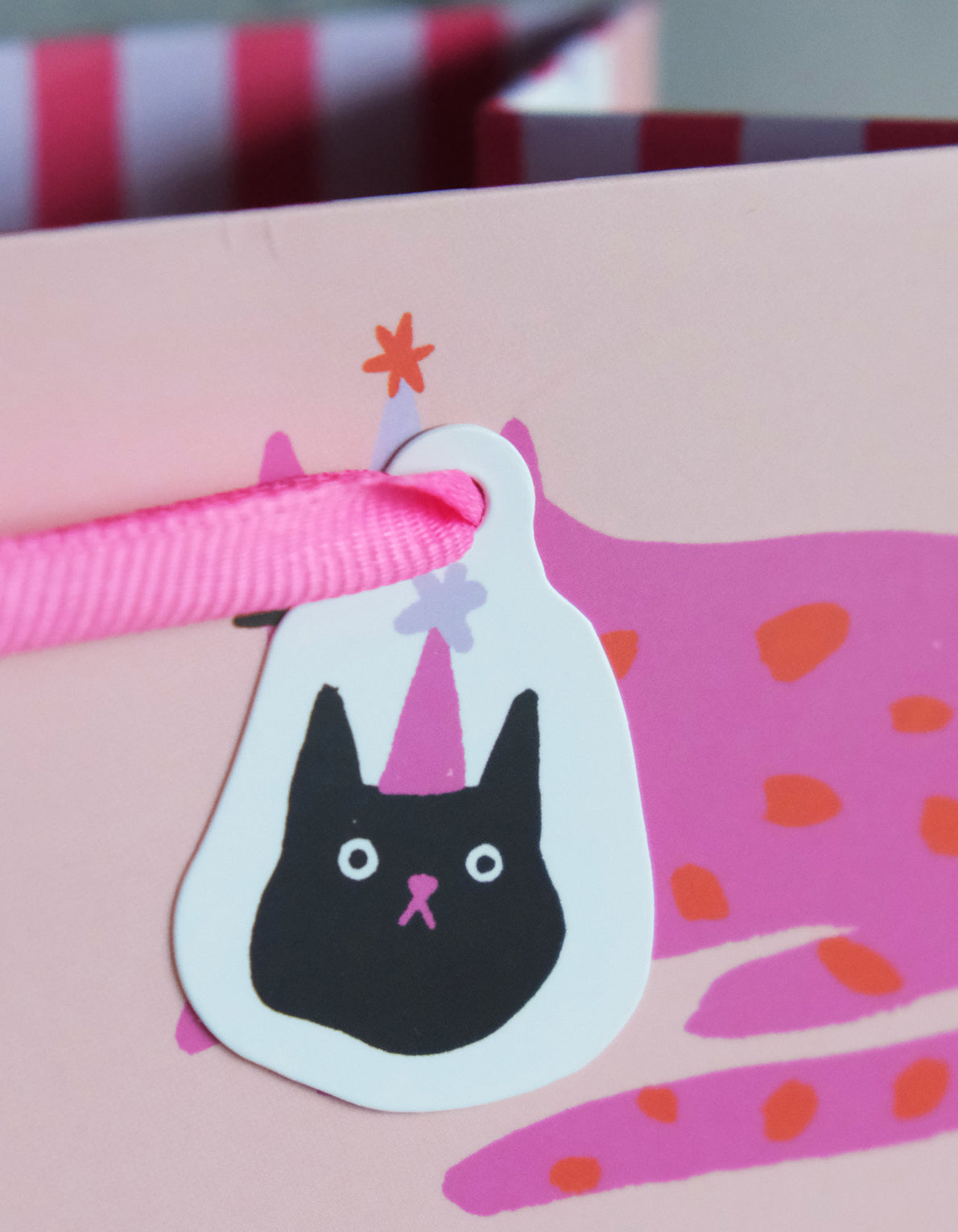 Gift Bag | Party Cats