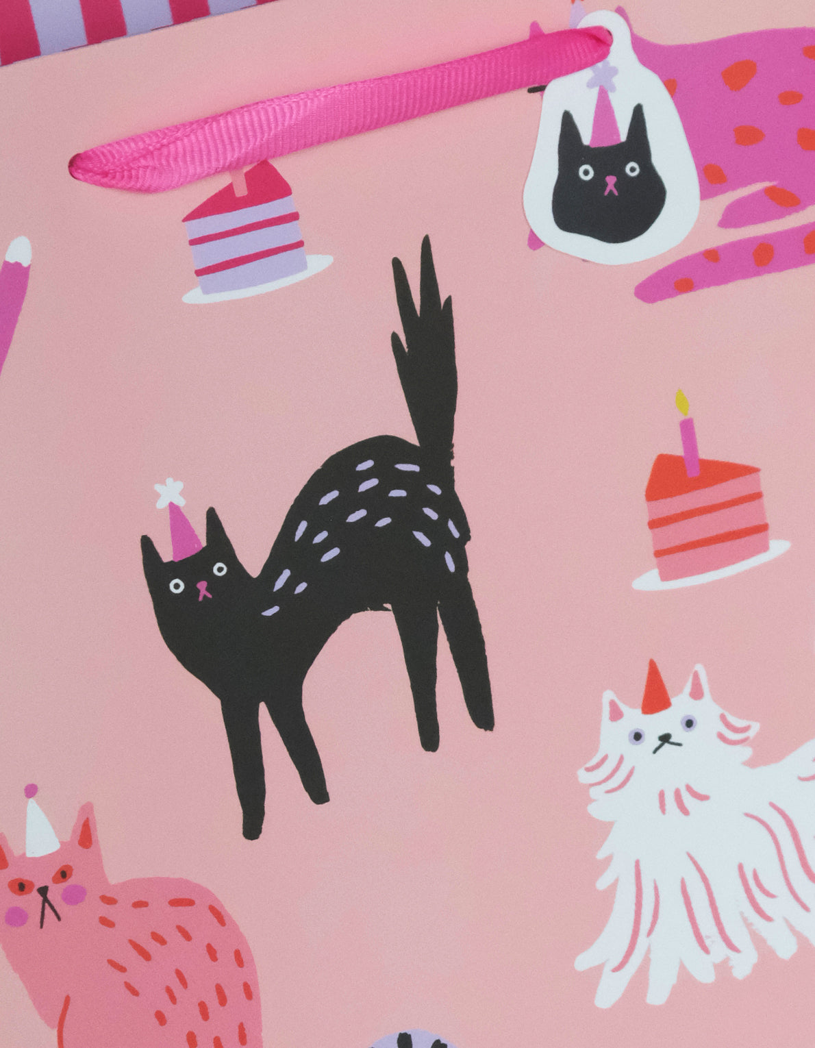 Gift Bag | Party Cats