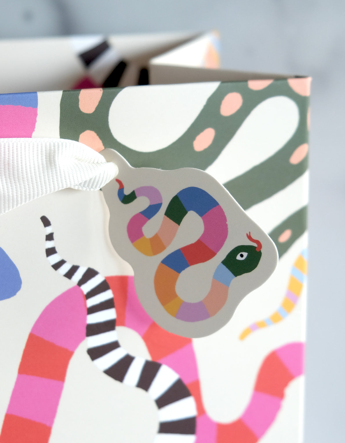 Gift Bag | Rainbow Snakes