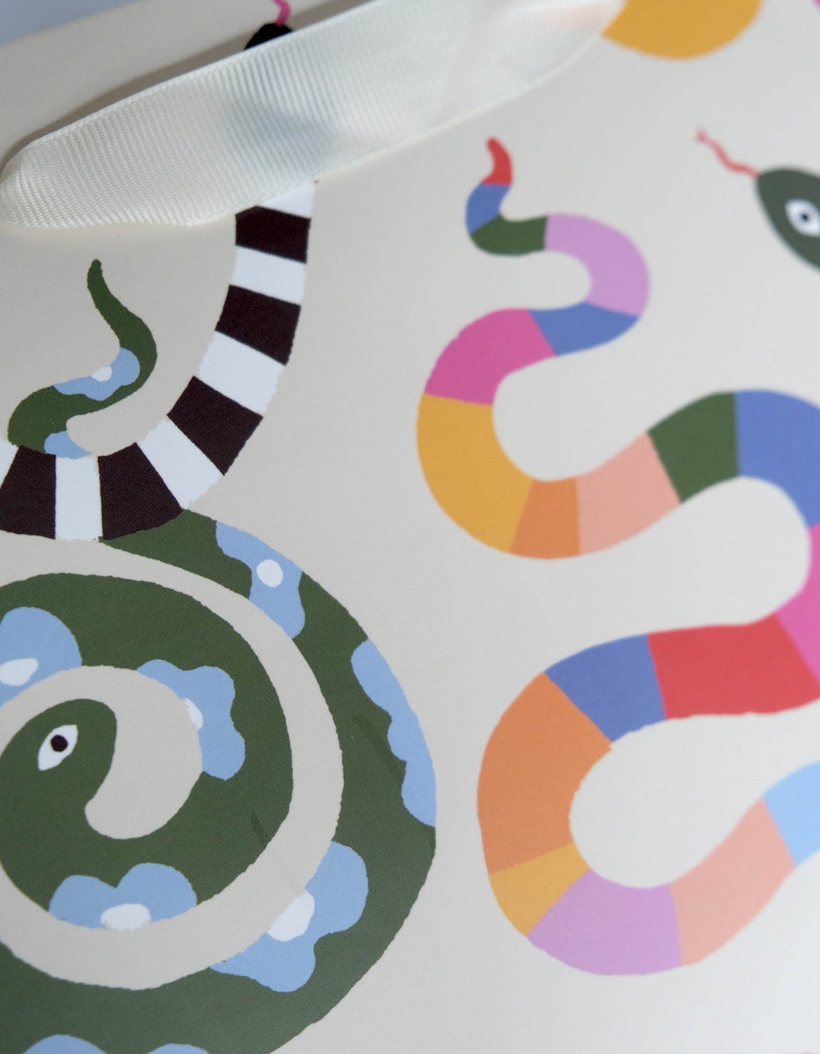 Gift Bag | Rainbow Snakes