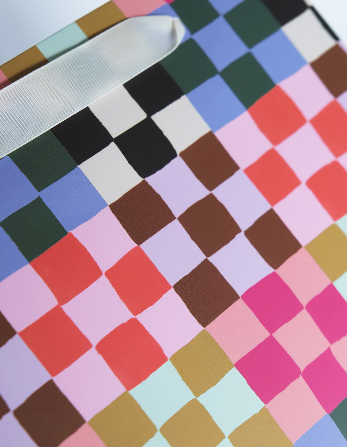 Gift Bag | Rainbow Check Print