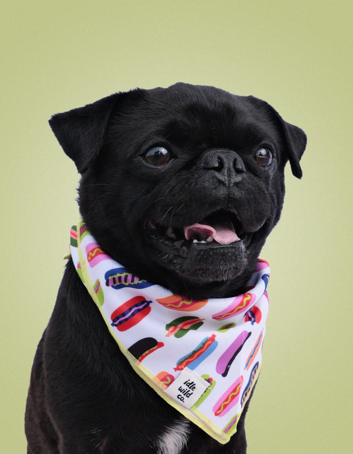 Pet Bandana | Hot Dogs