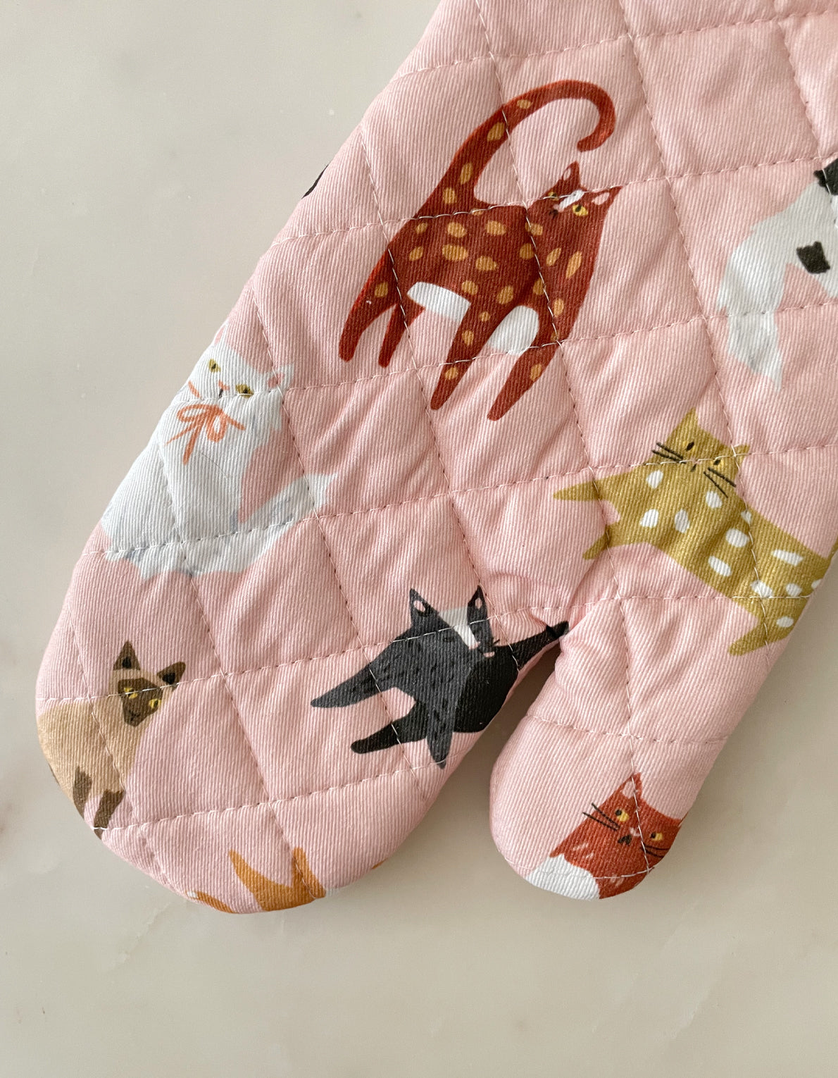 Oven Mitt + Potholder Set | Cats