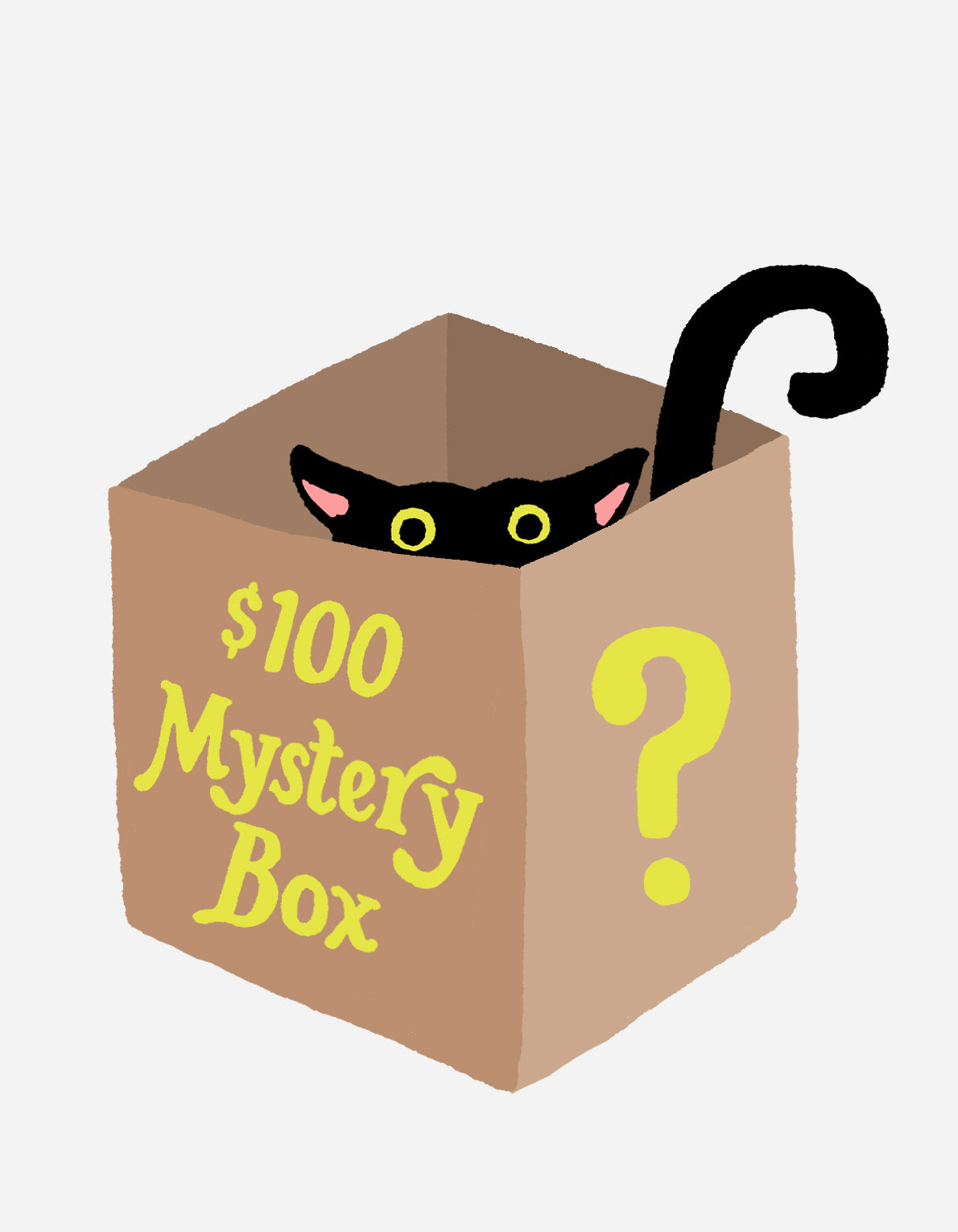 Mystery Box | Value $100