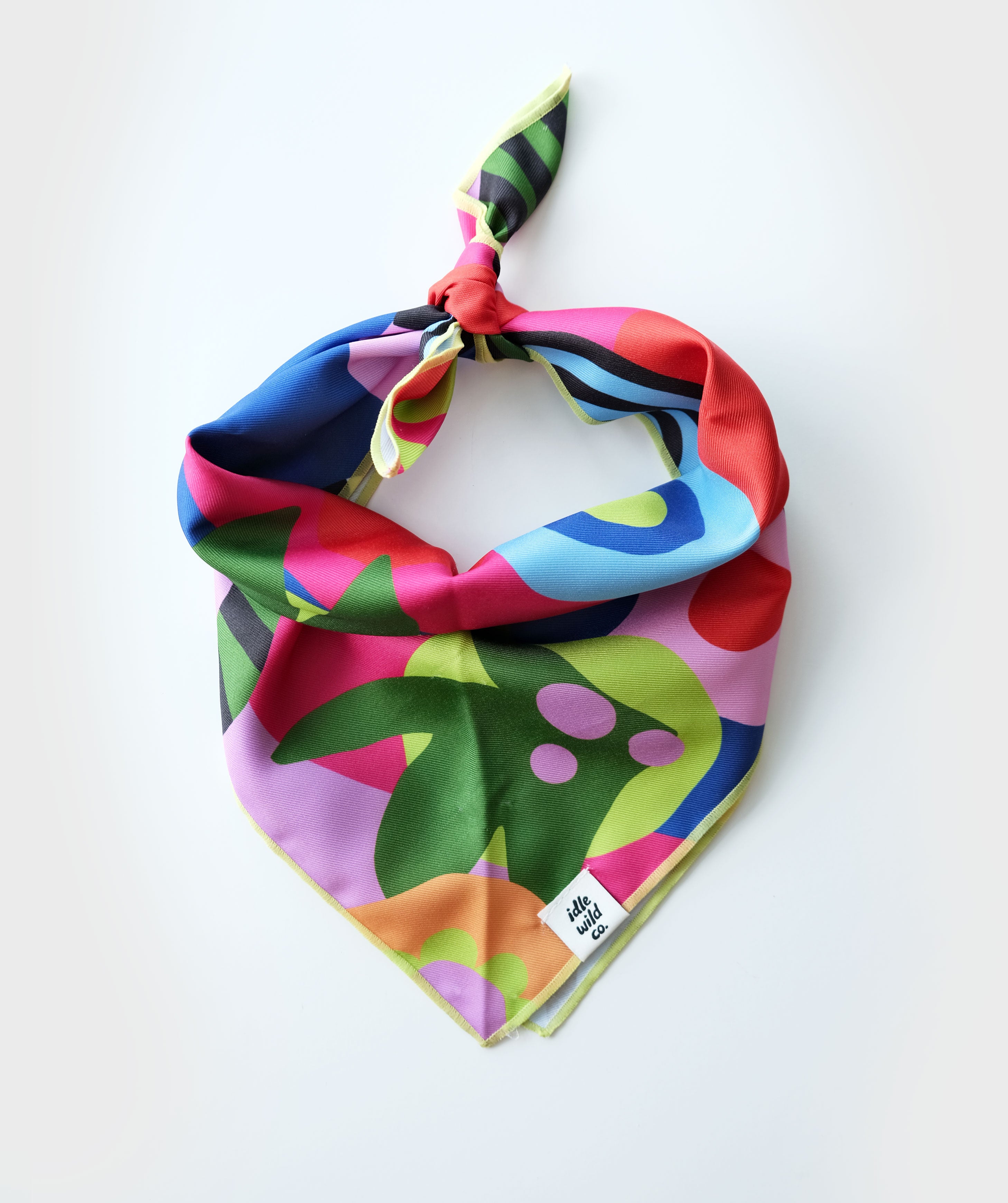 Pet Bandana | Neon Abstract Print
