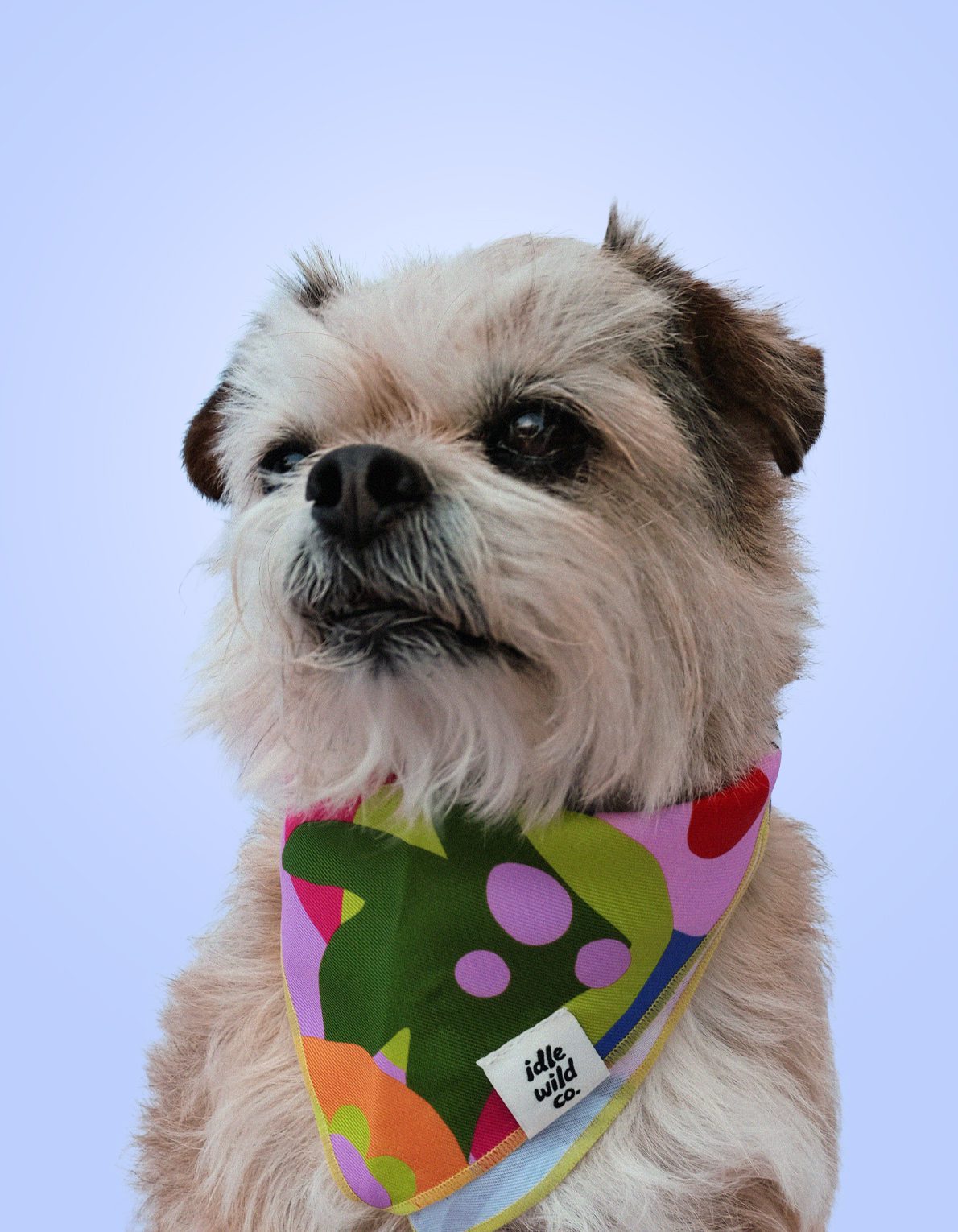 Pet Bandana | Neon Abstract Print