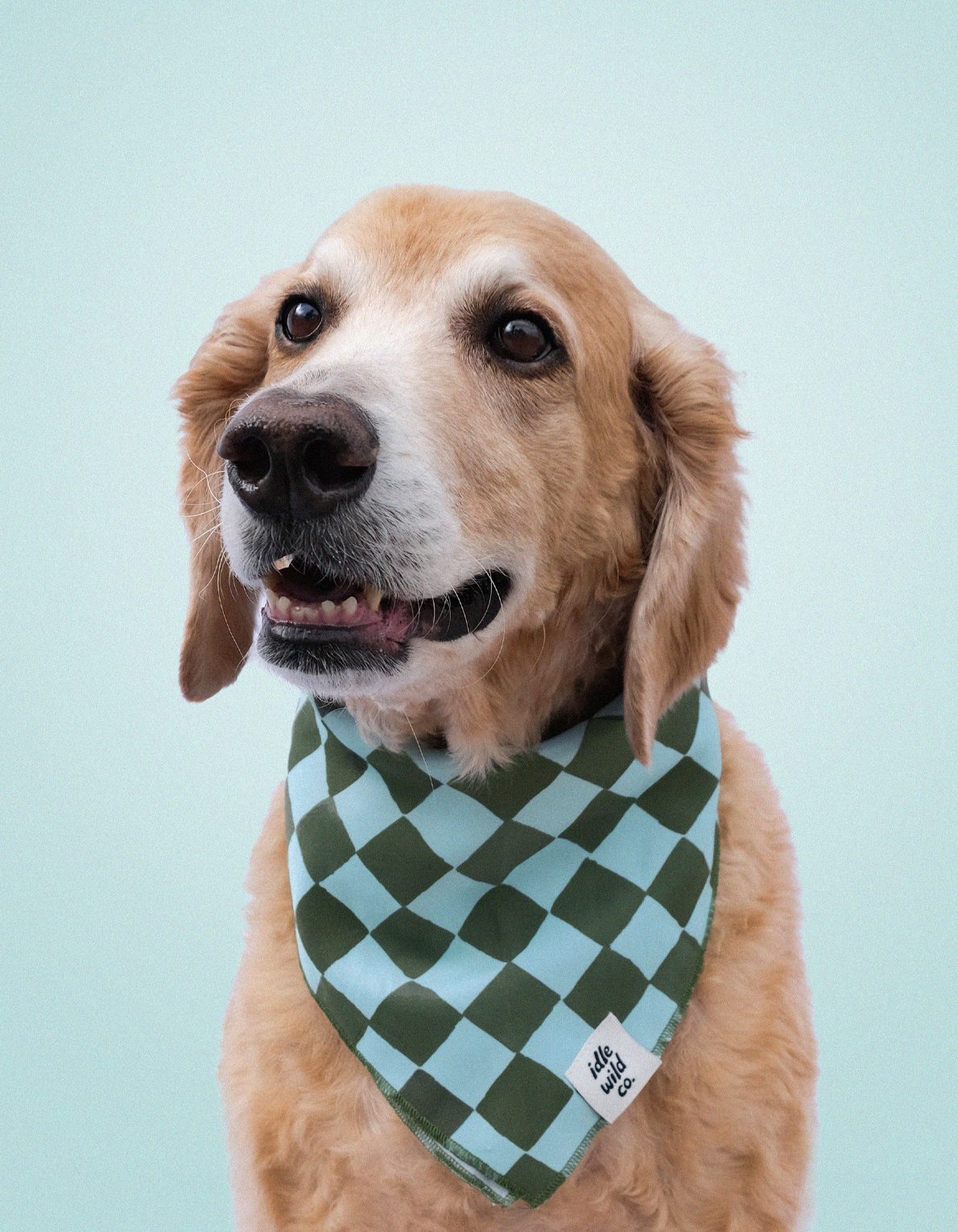 Pet Bandana | Olive Checks