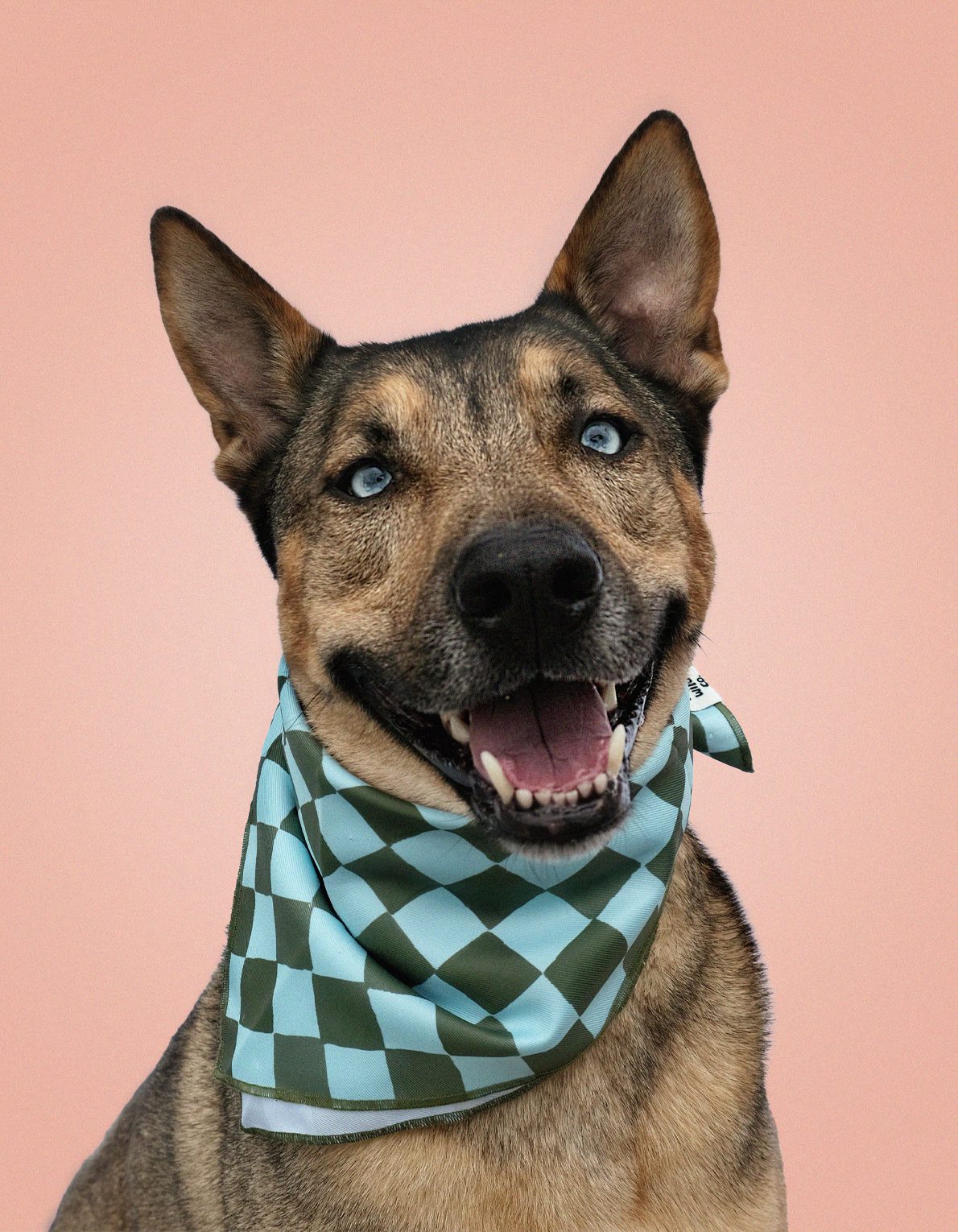 Pet Bandana | Olive Checks
