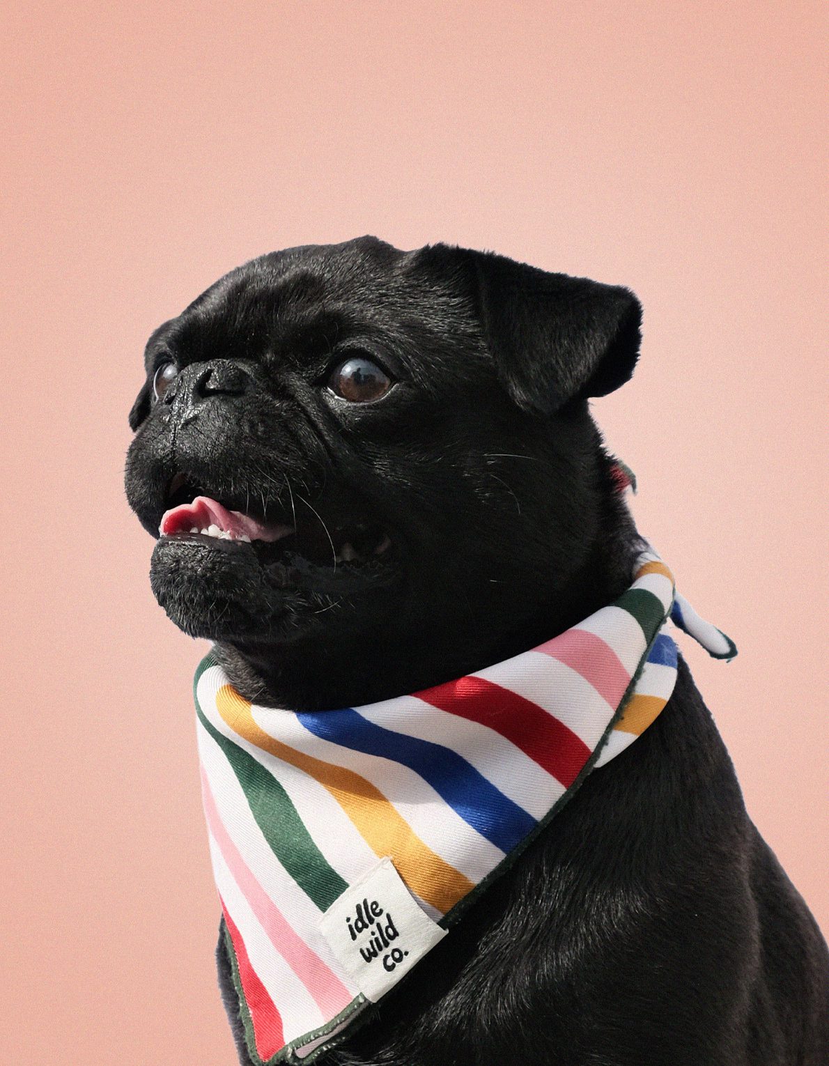 Pet Bandana | Primary Stripes