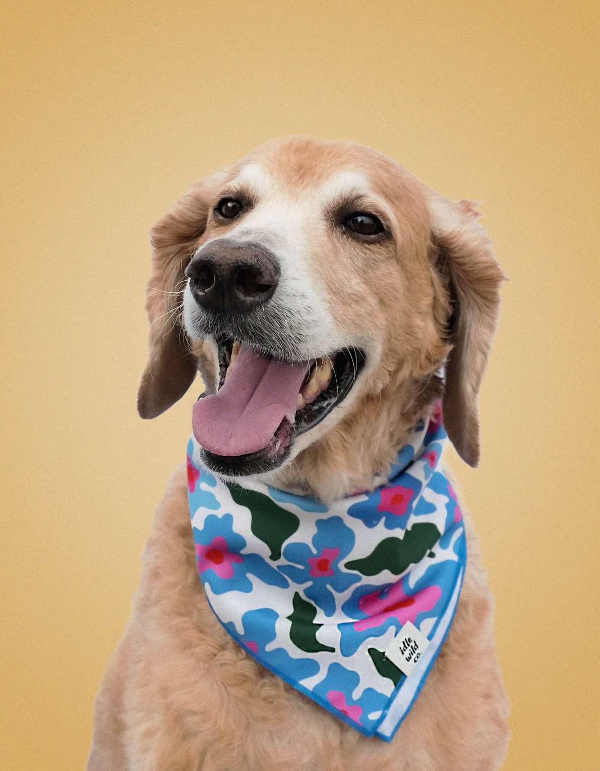 Pet Bandana | Trippy Daisies